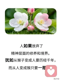 宽容简单的两个字，却承载着太多的东西。仅有二十笔画，但它的含义是无法用数字来计量的。那么就忘却它的定义，去感受它吧。宽容似火，让心尖饱受疼痛后重生。学会宽容，让这把火烧的更旺更猛烈，带来更璀璨的新生。