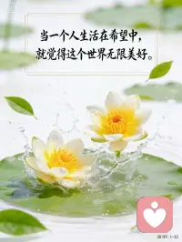 宽容简单的两个字，却承载着太多的东西。仅有二十笔画，但它的含义是无法用数字来计量的。那么就忘却它的定义，去感受它吧。宽容似火，让心尖饱受疼痛后重生。学会宽容，让这把火烧的更旺更猛烈，带来更璀璨的新生。