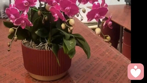心里问题