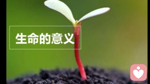 自我疗愈