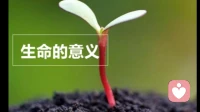 自我疗愈