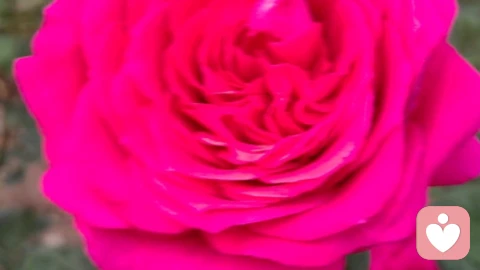 心理学真相:当你开始爱自己,人生才开始真正的变好