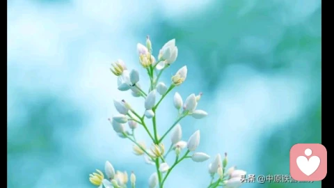 出轨的代价是耗空你的一生