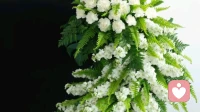 荣格心里学：最高级的治愈，不在用童年的遗憾惩罚家人，不在用过往的创伤捆绑自己