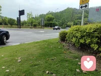 没事就喜欢坐在高速路口这看看车来车往，川流不息配图
