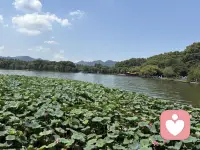你做了你觉得对的选择，我只能祝福你幸福！过了这一站还有下一站，永远向前看！配图