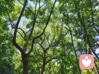 温柔不必张扬，真心永远不会被辜负配图