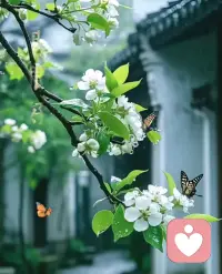 被这段话暖到了：不管你有多么喜欢一个人，都不要纠结她能陪你多久，或者能不能走到最后。因为我们来到这个世界上，朋友也好，爱人也罢，都是上天赐给我们最好的礼物，拥有过就好。其实有些人的出现，真的只是为了陪你走一段短暂又美好的时光。即便哪一天形同陌路，你也要知道，有些散场，真的不必说再见，尽力爱过就好。遇见是因为有债要还，离开是因为还清了，前世不欠，今生不见，我大大方方为自己的心动买单，我就要我的人生热烈真诚且坦荡。不是每个问题都有答案，不是每件事都能如愿，所以没关系，只是不顺路了而己，以后我们都会阳光万里。配图