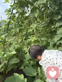 不要跑到别人的世界去忙碌，要在自己的世界里闪闪发亮配图