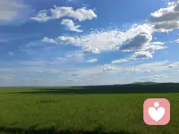 你很重要，但也不是非你不可配图