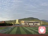 根据鳄鱼🐊法则：人永远别向后看。                   有人说：如果你在森林里遇见同一棵树，那你一定是迷路了。配图