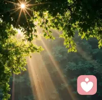 喜欢自己，比喜欢这个世界更重要，不必成为任何人，我就是最棒的模样，以前的过往已经成为你的底气，你努力又真诚，你真的很了不起，我不追光，我就是光！配图