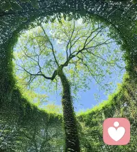 女人的金贵，从无需刻意讨好

        很多女人误以为，拼命付出、卑微迁就，就能换来偏爱与珍惜。实则越是放低姿态、一味迎合，越容易被人轻视。真正金贵的女人，从不用讨好维系感情，靠这几分清醒与底气，便能收获真心与珍视。
        掌控感情节奏，稳住自身心态。不苦苦等候消息、不纠结对方态度，不轻易动心，不冲动争执，情绪稳定、行事有分寸。不追着别人奔跑，从容自持的模样，本身就是独一无二的贵气。
        看清人性现实，拒绝自我内耗。男人的态度藏着真心，主动顾及你是想长久，冷淡疏离是欲抽身，忽冷忽热是刻意消耗。不必为他人的冷漠找借口，看懂本质、及时止损，守住自己的真心。
        回归自我重心，丰盈自身世界。不必耗费精力揣测他人心思，多关注自我成长与关系价值。不内耗、不依附，专注经营自己。

        女人的珍贵，从来不在外表与物质，而在有底线、有主见、情绪稳。好好珍视自己，自带底气，自然会被人用心善待。