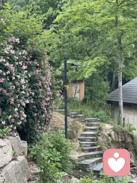 你现在的心情还好吗？配图