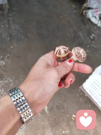 之前是不要和陌生人说话，现在是不要和熟人说，说了之后满世界都知道，来找我，做一个熟悉的陌生人。配图