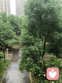 暖心陪伴
 
不用假装快乐，想哭就尽情发泄，所有委屈我都听你诉说。
不必追赶任何人的脚步，按自己的节奏生活，平安开心就足够。