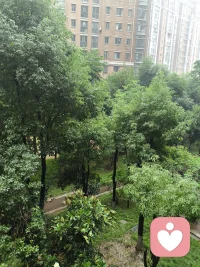 暖心陪伴
 
不用假装快乐，想哭就尽情发泄，所有委屈我都听你诉说。
不必追赶任何人的脚步，按自己的节奏生活，平安开心就足够。