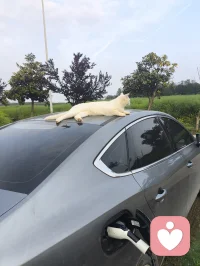 纳瓦尔“主张幸福是一种可以习得的技能”。而这种技能的第一步，就是学会接受现实。“如果你无法改变现状，也无法逃避现状，那么就接受它”。但在孽缘中，接受往往意味着承认自己选错了人。
纳瓦尔说：“认清现实，卸下你的自我（Identity）,才能看见真相”。
真相是：那个人并不适合你，你对他的执着只是在自欺欺人。