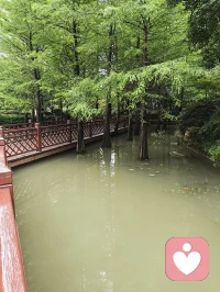 人在极度疲惫时
是没有精力去维持任何关系的
爱是需要能量的
可是累的时候是没有能量的
人在极度疲惫的情况下
会一句话都不想说
会滋生出冷漠和暴躁
甚至会想把好不容易
得到的东西给舍弃
但是当一个极度疲乏的人
还愿意克制自己的疲惫和情绪
好好对待你的人，要珍惜配图