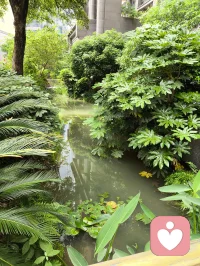 人在极度疲惫时
是没有精力去维持任何关系的
爱是需要能量的
可是累的时候是没有能量的
人在极度疲惫的情况下
会一句话都不想说
会滋生出冷漠和暴躁
甚至会想把好不容易
得到的东西给舍弃
但是当一个极度疲乏的人
还愿意克制自己的疲惫和情绪
好好对待你的人，要珍惜配图