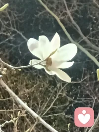 倾诉不是软弱，是给紧绷的生活松口气，是和疲惫的自己和解。人生本就风雨密布，不必永远孤身硬闯，偶尔倾诉，好好善待疲惫不堪的自己，才是成年人最该有的温柔。