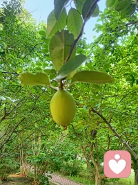 - 爱一个人爱到极致，一定是不纠缠。

给你一份尊重，给自己一份尊严
​
- 退出他的世界，慢慢的去疗伤