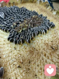 看，我打下来的江山
正在实现统一