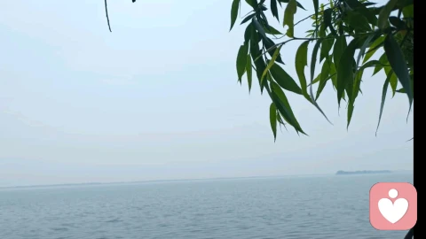 看见缺点,接纳不完美的自己