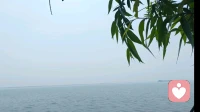 看见缺点，接纳不完美的自己