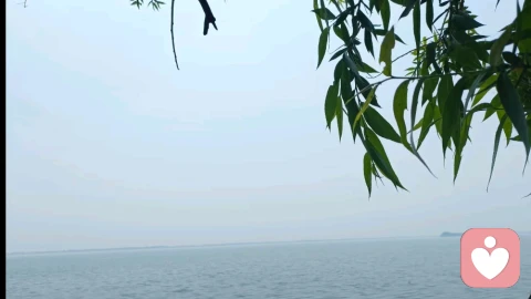 父母离异对孩子的心理影响