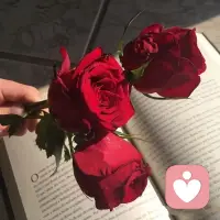 520最好的爱、
是先爱自己。
不依附、
不内耗、
不纠结，
稳住内核，
自带光芒，
爱自己，才是终身浪漫的开始✨配图