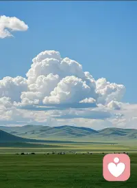 以沉稳之心倾听百态，接住你的疲惫，梳理纷乱的内心思绪配图