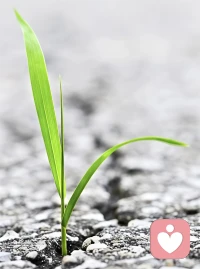 一段婚姻中。
并不是所有的付出他都有回报。
该悄悄退场，就悄悄退场。配图