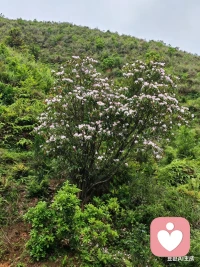 可有，可无，可去，可留。
能折磨我的都是我在意的东西，
当我不在意了，天奈我何！

可得，可失，可聚，可散，
能牵绊我的都是我付出的真情，
我若释然谁能困住我！