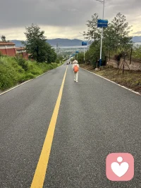两个系统。
社会价值系统，生命价值系统。

活在社会价值系统，被集体意识流推来挤去，似乎有命运之手在操控着。

活在生命价值系统，个人意识觉醒，顺随生命之流，活出生命本来的样子。配图