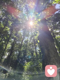 生命之光🌟🌟
真正的力量，在自己之内🎁🎁