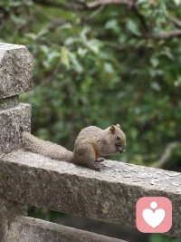 和小可爱约会、
一起啃瓜子，哈哈哈哈