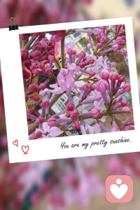 🌻立夏的第一条祝福，我想送给你。愿你放 “夏” 烦恼、卸 “夏” 疲惫，在接 “夏” 来的日子里，快乐不止一 “夏”、好运不止一 “夏”，平安不止一 “夏”、幸福更是不止一 “夏”；希望这个夏天，一切美好都会如期而至🍀配图