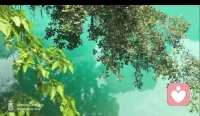 该渡的劫已经渡完，该成的事也尘埃落定。
学会与命运和解，余生只求安稳自在，把日子过好。配图