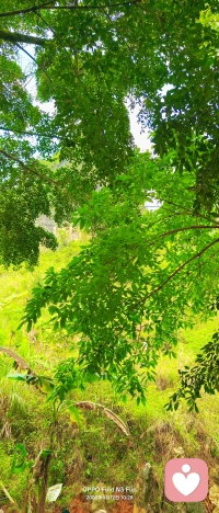 这样才是我喜欢的生活……
今天一个和我连麦2个小时的弟弟……
给我的心结打开了，才知道我以后的生活应该怎样……
这么久以来第一次连麦这么晚，但是收货到了温暖……

真的特别谢谢你，之前一直纠结犹豫拿不定主意，听完你的话一下子豁然开朗，心里的疙瘩总算解开了。配图