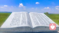 很多人都经历过一段孤身独处的至暗时刻：
满心孤独、无人相伴，被困在负面情绪里寸步难行。
好在人与人的联结自带治愈力量，
一份陪伴、一份接纳，
就能慢慢拉着深陷低谷的人走出困境。配图