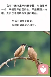 写给自己:在每一个无法重来的日子里，对自己好一点。
幸福是养自己的心。不是养别人的眼。
爱自己才是终身的浪漫的开始……
生活无需处处精彩，
但愿每刻都安心自在。配图