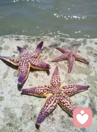 很幸运在这里遇见同频又通透的朋友，
聊天松弛又治愈，优秀的人自带光，
短暂通话，收获满满能量。