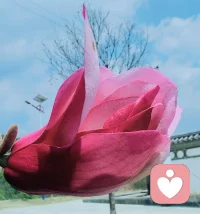 很幸运在这里遇见同频又通透的朋友，
聊天松弛又治愈，优秀的人自带光，
短暂通话，收获满满能量。