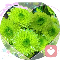 下午茶治愈时刻｜咖啡·鲜花·蛋挞
先安顿好自己的情绪，才能从容拥抱生活。
适度松弛，是最好的心理疗愈。