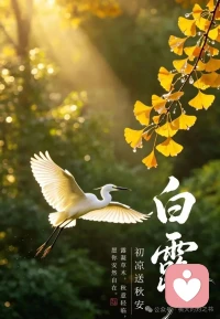 白露在二十四节气里最像女子的名字,温婉雅致，充满诗意，念在口中，齿间便生了清凉。白露也是二十四节气里最沉得住气的一个，悄悄地来，在草尖上、在蛛网间、在晾了一夜的搪瓷盆沿上，留下细细碎碎的白，让人在不知不觉中，走过四季。