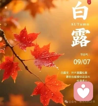 白露在二十四节气里最像女子的名字,温婉雅致，充满诗意，念在口中，齿间便生了清凉。白露也是二十四节气里最沉得住气的一个，悄悄地来，在草尖上、在蛛网间、在晾了一夜的搪瓷盆沿上，留下细细碎碎的白，让人在不知不觉中，走过四季。