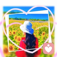 🌻
❤️好喜欢向日葵。
不纠结阴影，不害怕风雨，
就安安静静向着太阳生长。
我也想活成这般模样，心里自带一束光，
不必等别人来照亮。
慢慢放下执念，卸下沉重，活的松弛坦荡，自由自在。
生活有苦有甜，往后，温柔自愈，向阳而行🌞