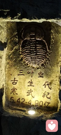 来到伊春嘉荫，神州第一龙的故乡。
指尖轻触鸭嘴龙亿万年前的脚印，白垩纪的生灵，曾在这片土地行走。
亿万年沧海桑田，再庞大的生命也终会归于岩石。
我们当下纠结的烦恼、放不下的执念，放在漫长时光里，都只是一瞬。
接纳生命的起落，允许一切变迁。人生长路，慢慢走，不必困在此刻的情绪里。
