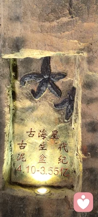 来到伊春嘉荫，神州第一龙的故乡。
指尖轻触鸭嘴龙亿万年前的脚印，白垩纪的生灵，曾在这片土地行走。
亿万年沧海桑田，再庞大的生命也终会归于岩石。
我们当下纠结的烦恼、放不下的执念，放在漫长时光里，都只是一瞬。
接纳生命的起落，允许一切变迁。人生长路，慢慢走，不必困在此刻的情绪里。